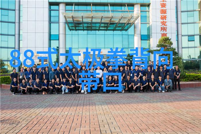 探究世界武功之巅揭秘最为高超的武学体系与其内涵