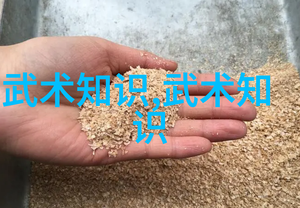 霸道江湖中国意拳在社会的格斗场