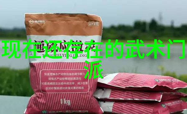 儒雅古风帮派岳家拳又是哪种门派拳种