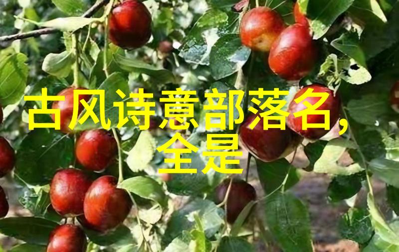 安全第一在练习入门拳法时应注意哪些防护措施