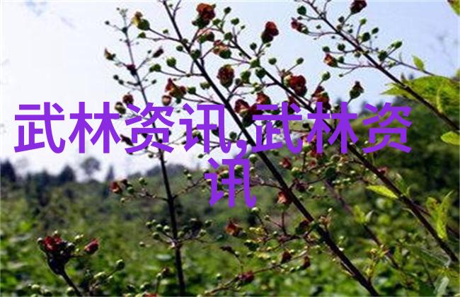 从零到英雄的武学之旅初学者适用的拳法十六招式