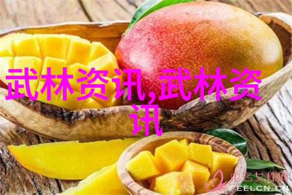 吴敏霞坚持梦想跳向里约的希望