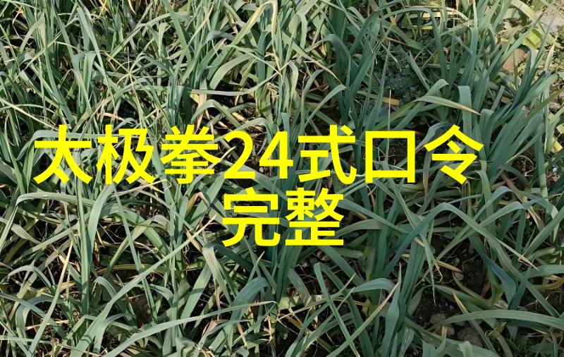 江苏武林秘笈揭秘螳螂拳的绝学