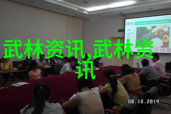太极拳在自然中的历史探究与未来发展策略中国武功秘籍的大全书-王凯源