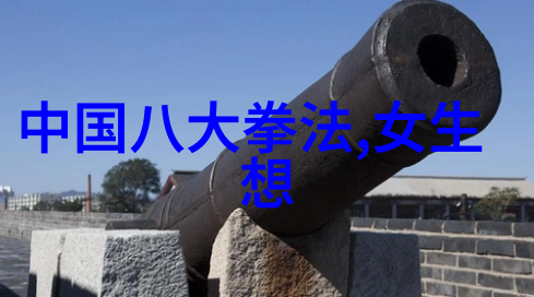张禹飞冯秀茜的混元太极拳面对面教学揭秘太极功夫的精髓