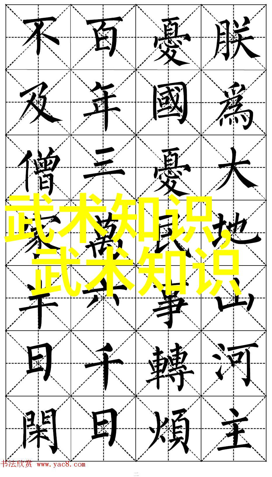 如何通过少林武功秘籍大全提升自己的速度和敏捷性