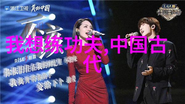 中国武学秘籍揭秘武当太虚拳的修真奥义