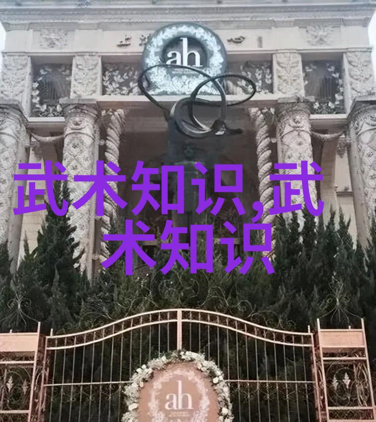 禁用武术的网站我都傻了这个网站怎么还有人在教拳脚