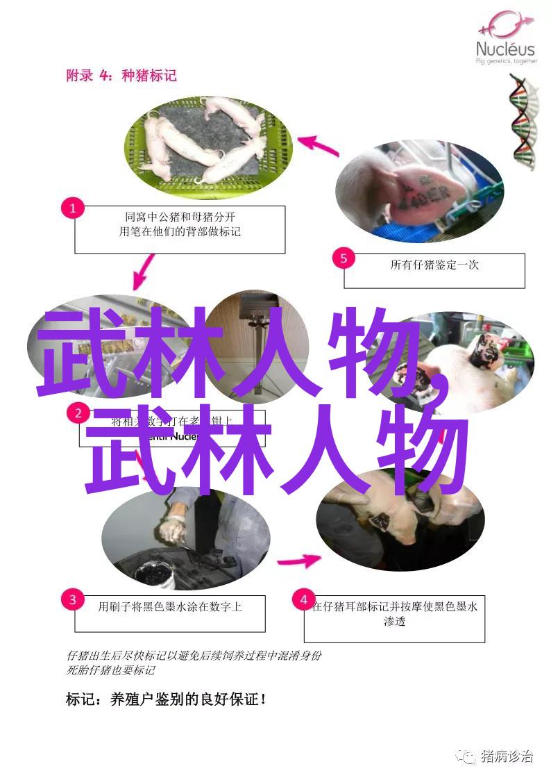 宫廷斗争中的温柔盛宠庶妃的复杂情感