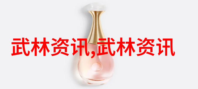 身法秘籍内家拳法的精髓