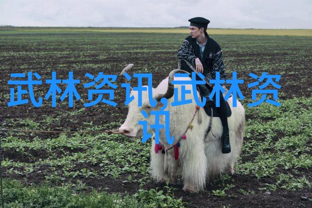 女生帮派名玉兰花宗岳太极拳之物品篇