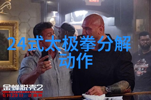 太极拳基础练习24式太极拳的分解动作教学