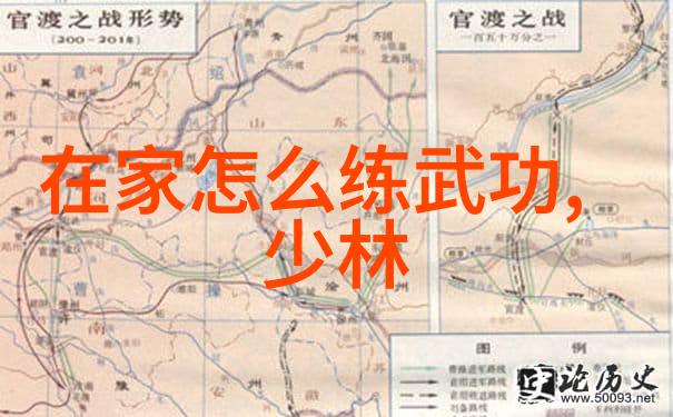 武术资料网-探秘武术资料网一站式掌握中华武学宝库