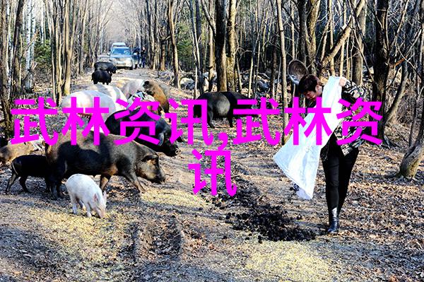 家风拳艺传承中的力量