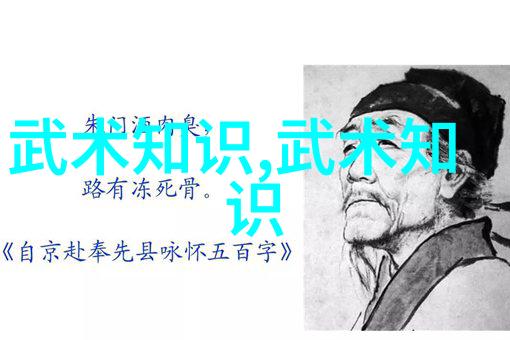 静中藏动24式太极拳的隐秘舞蹈