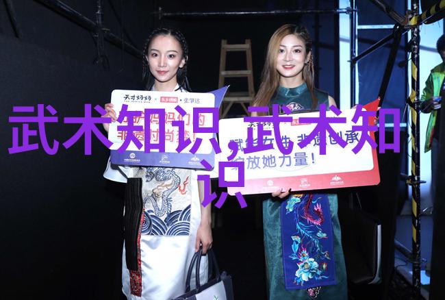 中国剑法秘籍从古代传统到现代变革