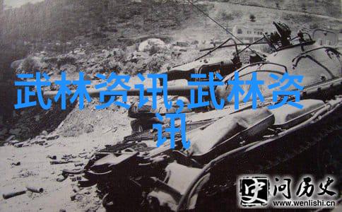 武林秘籍招式大全带图古典武术精髓总集