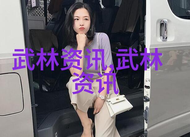 武当山秘籍揭秘十五代传人的真实人数