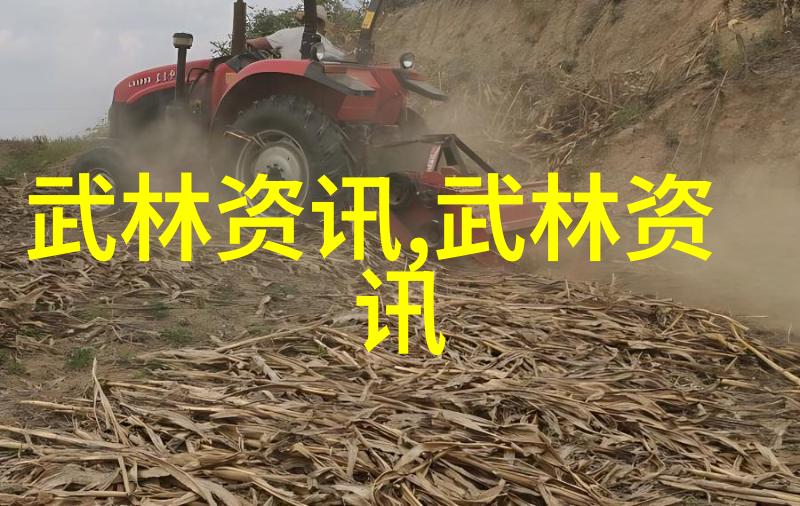 霸道门派震清肘捶