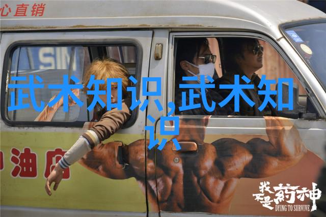 李小龙功夫教学视频武术大师的精华教程