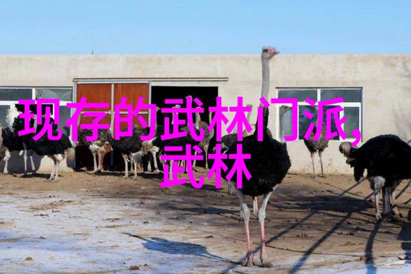 揭秘世界武林探寻最强武功的神秘之谜