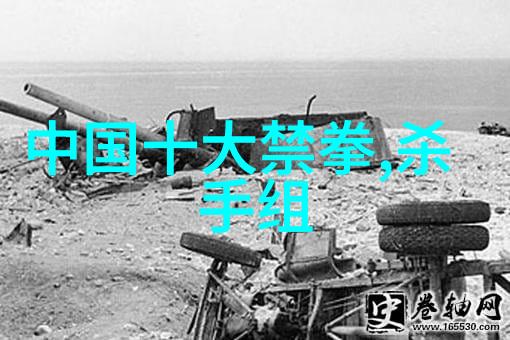 门派拳种傅式形意内家拳