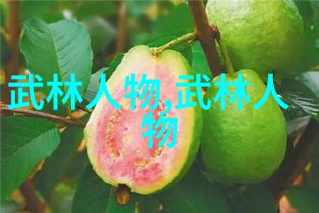 中华武术内外兼修的艺术探秘