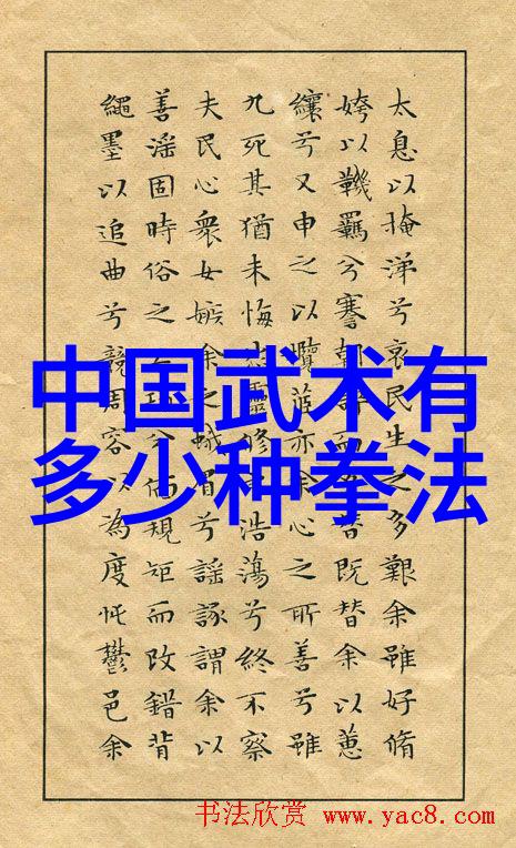 武术教育-李小龙的功夫教学视频揭秘武林至尊的练习秘诀