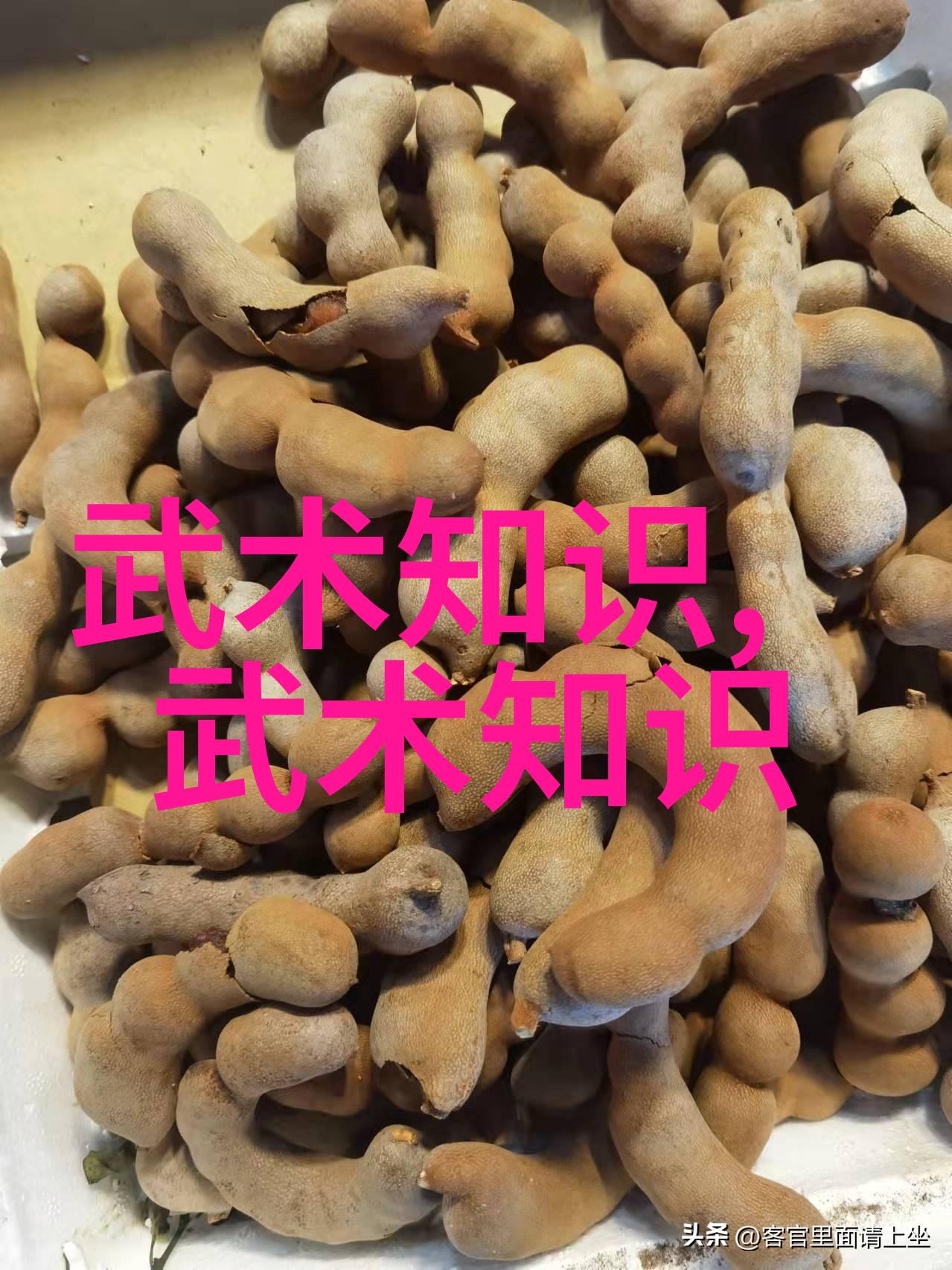 太极拳24式图解揭秘内在力量与动作技巧