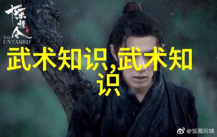 太极拳24式每一式图解视频我教你轻松掌握太极拳24式每一步都有画面辅助
