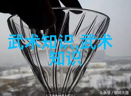 太极神秘揭秘十三式拳法的奥秘