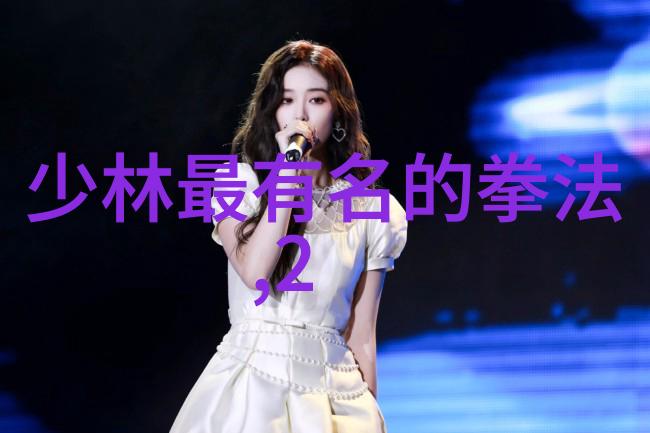 武林秘籍李小龙内家外派技巧全解析