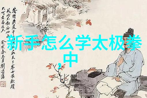 武林秘籍揭秘门派拳种中隐藏的无极之谜
