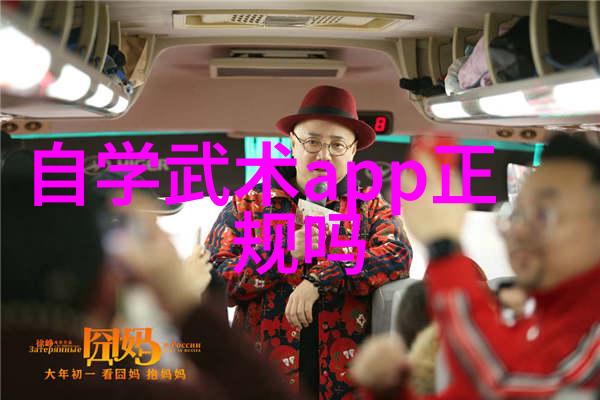 星辰流光传说中的古风剑法之谜