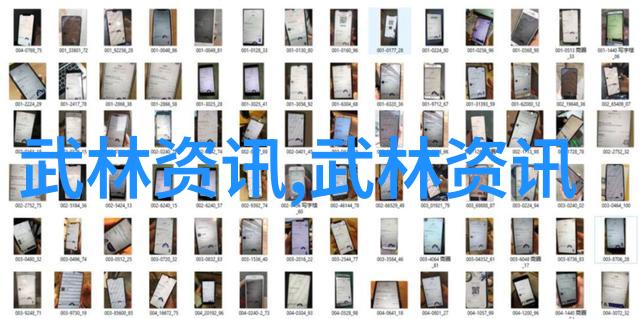 精英竞技与民间流派现代中国武术比赛体系概述