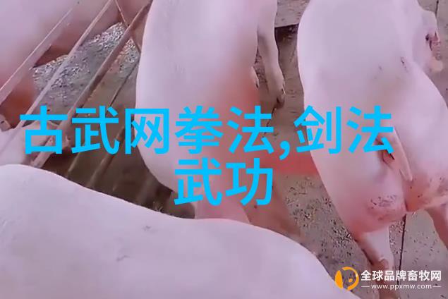 机器人拳击维克-达奇尼安的战斗数据