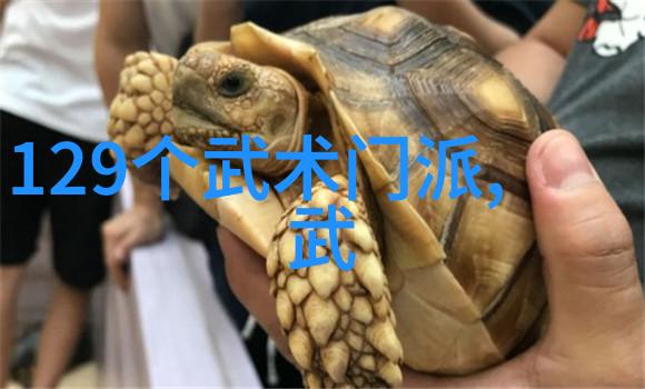 武术对决-南拳与华拳哪个更强探秘两大流派的技艺