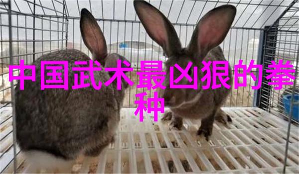 浅谈形意拳最怕的对手陈氏太极拳的泛臀技巧