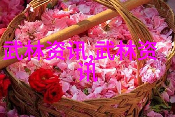 星辰之巅探秘玄幻小说中的最强宗门