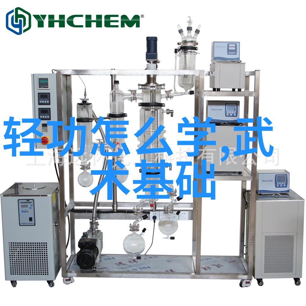 中国内功的力量探索最实战性的武术技巧
