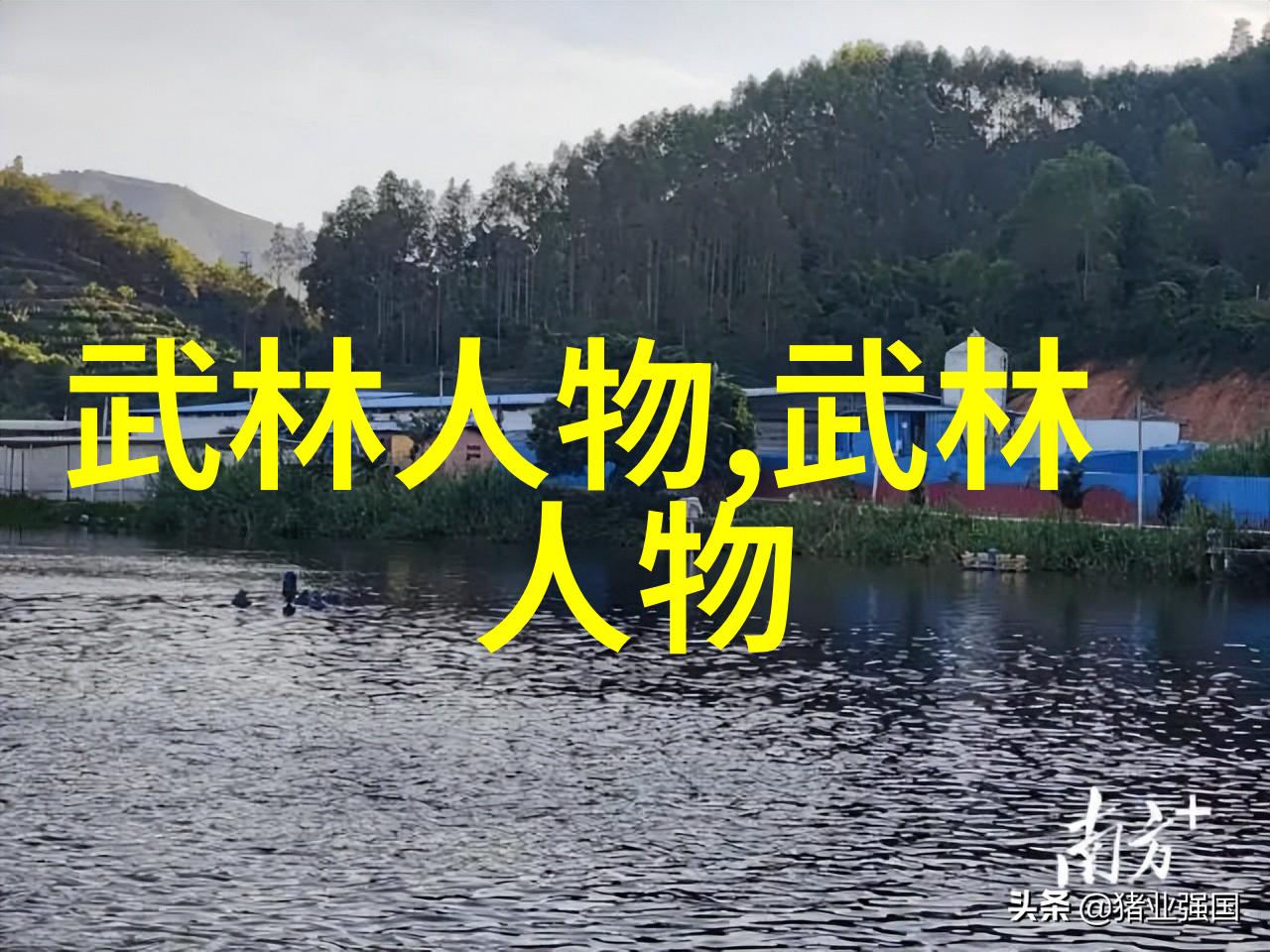世界第一群交会探索人类社会的未来