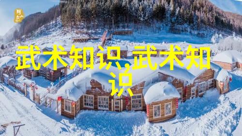 对抗拥有大量打击力的泰国武术如武艺或咖拉拉形意拳有何忧虑