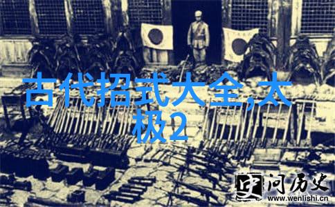 在自然的氛围中我想学武术自学怎么学探索陈式太极拳技击中的声东击西之道张杰与刘淑君的指导