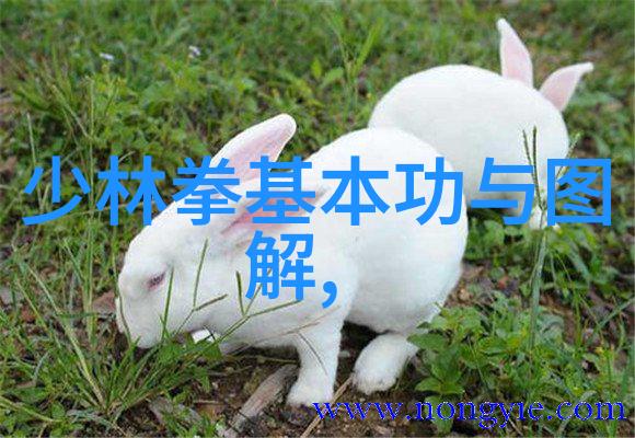 碧波流韵古风帮派的五字押韵之美