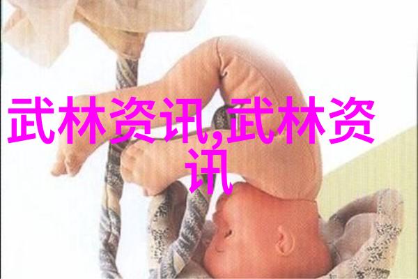 武林秘籍揭秘中国30大门派之无极门震撼拳法源流