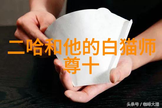 你真的准备好掌握太极拳24式每一式的精髓了吗来看这套详尽的图解视频吧