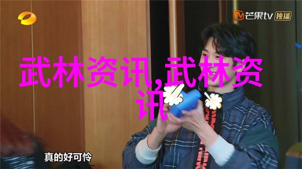 猎鹰拳法与太极走势解读李小龍於教學影片中傳授之理念與技巧
