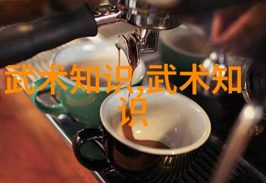 胡新朝探究腰胯关系之新视角四十式太极拳视频教学带口令