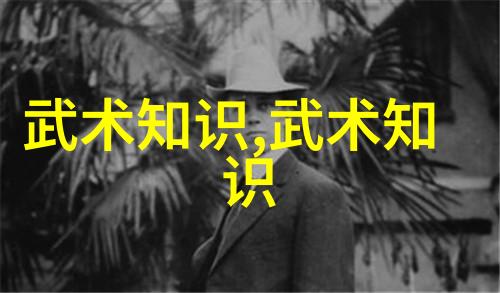隐世武学中国古代武术秘籍中隐藏的奥秘有几何