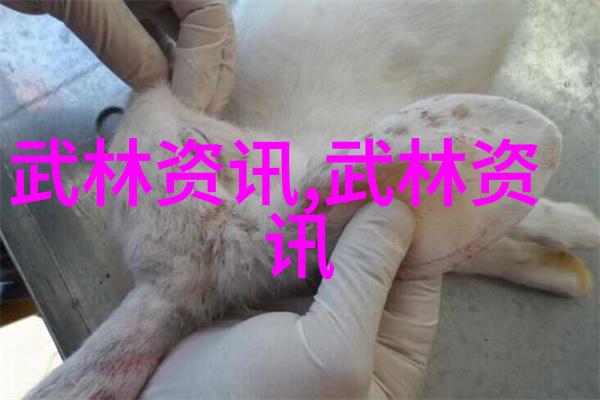 探索现代门派从禅到太极继承与创新之旅